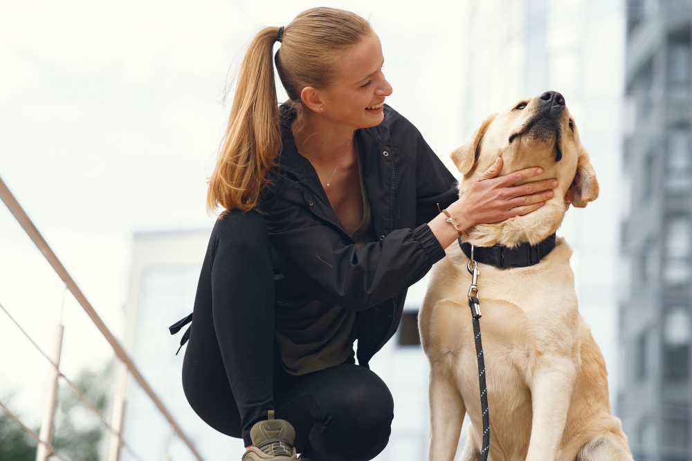 Imagem do curso: Cuidador de Cães 