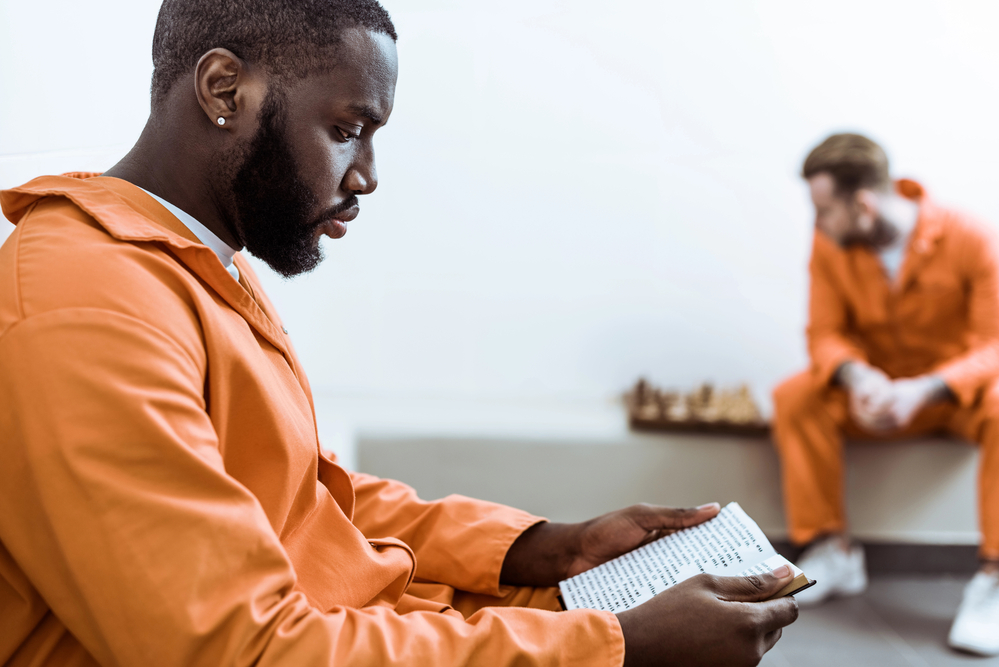 Imagem do curso: Introdução à Educação Prisional