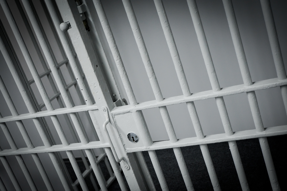Imagem do curso: Sistema Carcerário Brasileiro